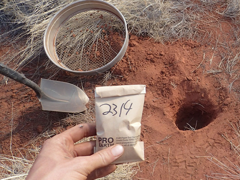 Soil Sampling